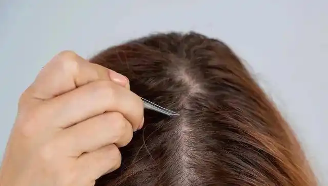 拔白头发会越拔越多吗？科学解释来了